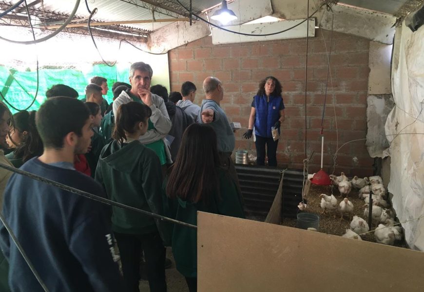 El INTA y el CEPT de Hunter buscan desarrollar vacuna El INTA y el CEPT de Hunter buscan desarrollar vacuna