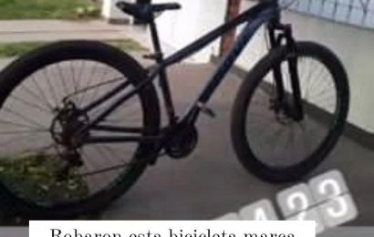 Roban bicicleta en la puerta de una escuela
