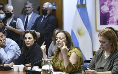 Un plenario de comisiones emitirá dictámenes sobre la reforma a la ley de alquileres