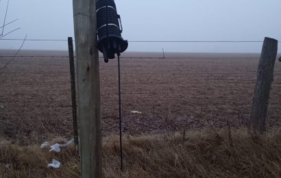 Robaron cables de fibra-óptica en Rafael Obligado