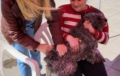 Día mundial contra la rabia: Hubo vacunación de mascotas