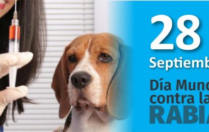 Se celebra este miércoles el Día Mundial contra la Rabia