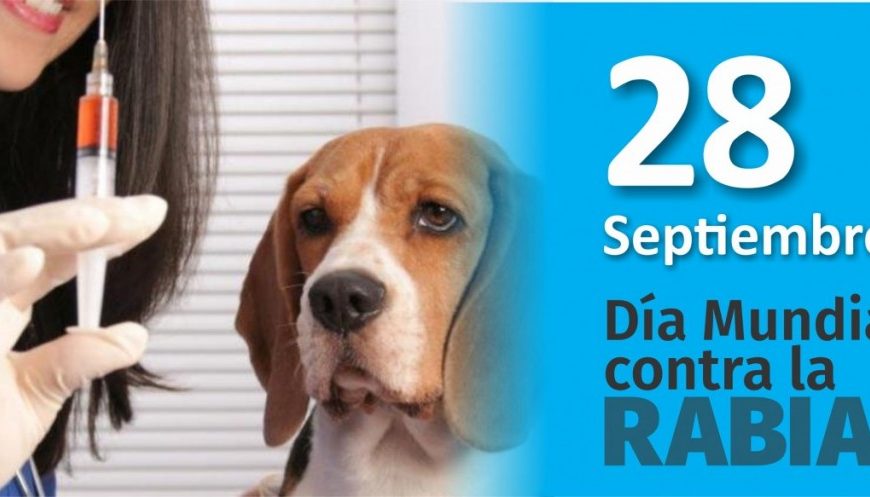 Se celebra este miércoles el Día Mundial contra la Rabia Se celebra este miércoles el Día Mundial contra la Rabia