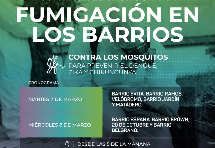 Fumigan contra los mosquitos Fumigan contra los mosquitos