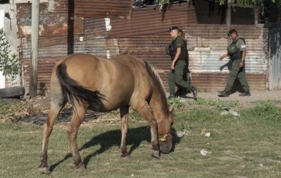 El Gobierno concretó el refuerzo de fuerzas federales en Rosario