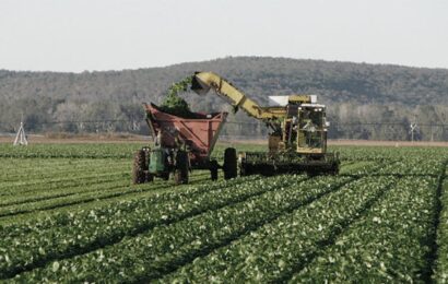 La economía argentina tendrá un buen 2024, apalancada por sector energético y el agro