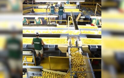 Argentina volverá a exportar cítricos orgánicos a la Unión Europea luego de 20 años