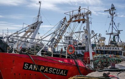 La actividad en el sector pesquero tuvo un crecimiento interanual del 3,6% en junio