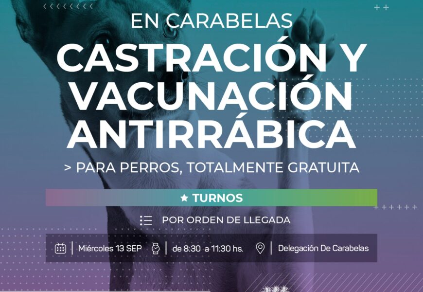 Castración y vacunación antirrábica para perros gratuita en carabelas hoy miércoles 13 de septiembre de 8:30 hasta 11:30 horas Castración y vacunación antirrábica para perros gratuita en carabelas hoy miércoles 13 de septiembre de 8:30 hasta 11:30 horas