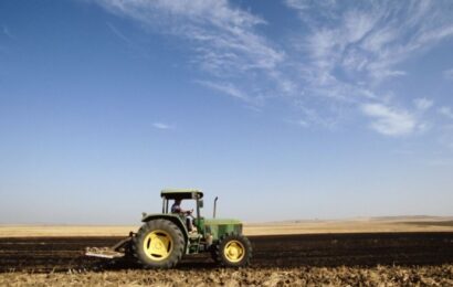 Argentina abrió un mercado clave para su trigo y para todo el sector cerealero