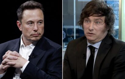 Elon Musk habló de Milei y el presidente electo le respondió: «Necesitamos hablar»