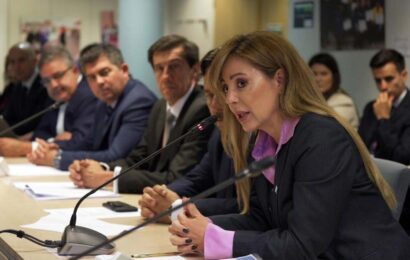 La Argentina y la UE analizan proyectos e inversiones en minería y renovables en el país
