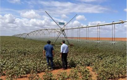 El Municipio pide cuidar el agua, ¿quién controla el riego artificial en los campos?