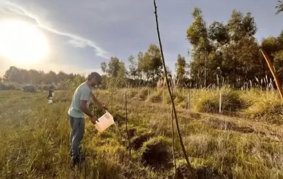 Buscan aumentar la producción de alimentos agroecológicos