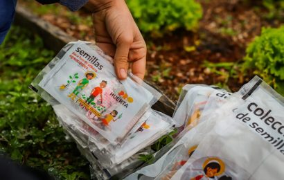 ProHuerta: El INTA entrega los kits de semilla