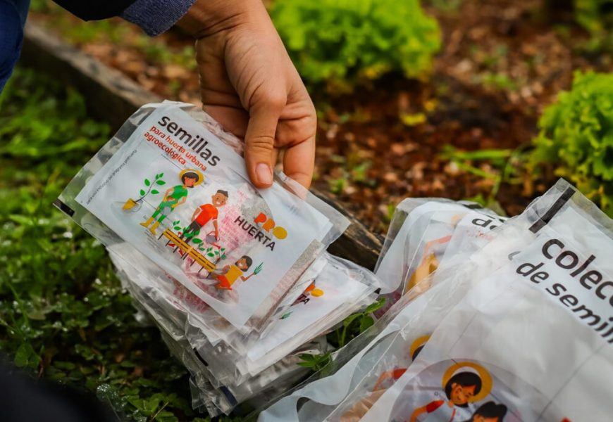 ProHuerta: El INTA entrega los kits de semilla ProHuerta: El INTA entrega los kits de semilla
