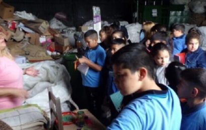 La educación ambiental, fuerza rectora de toda comunidad que mira al futuro
