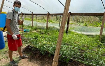 Trabajamos en condiciones controladas que nos permiten obtener un producto de máxima calidad