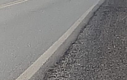 Una mujer se habría lanzado bajo un camión en Ruta 188