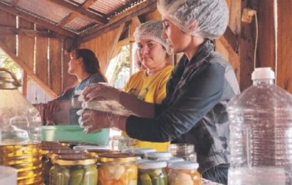Envasan productos de la chacra