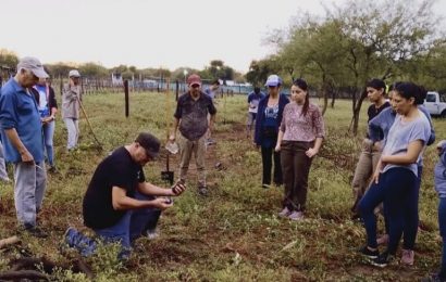 Impulsan la sostenibilidad produciendo plantas nativas