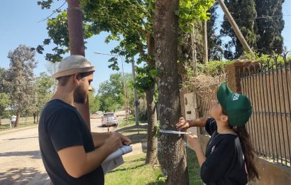 Gran avance en el censo del arbolado público