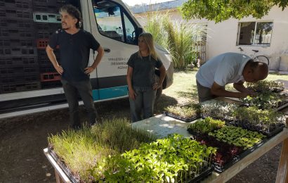 El Municipio de Rojas gestionó el acceso al Programa “Huertas Urbanas”