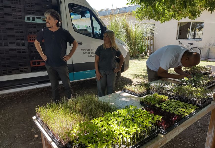El Municipio de Rojas gestionó el acceso al Programa “Huertas Urbanas” El Municipio de Rojas gestionó el acceso al Programa “Huertas Urbanas”