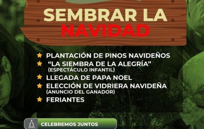 Este domingo 8 de diciembre te invitamos a sembrar la navidad 