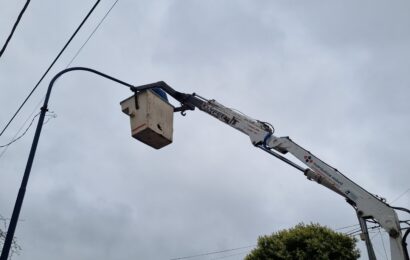 Ya está en acción el Programa Luz Verde en Carabelas