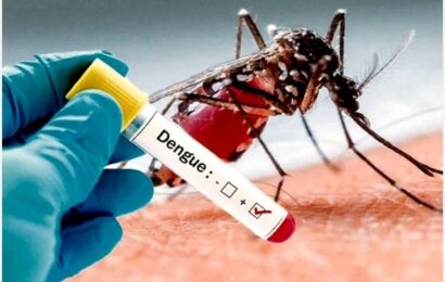 Salud informó sobre 3 casos de Dengue