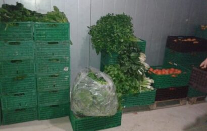 Nuevas alternativas para reducir las pérdidas de frutas y hortalizas