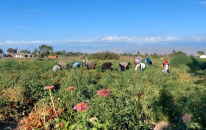 Trabajo integral y comunitario para la permanencia de las nuevas generaciones