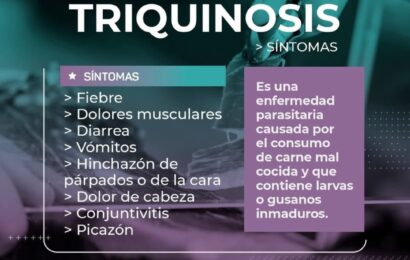 Con estas medidas podemos ayudar a prevenir la triquinosis