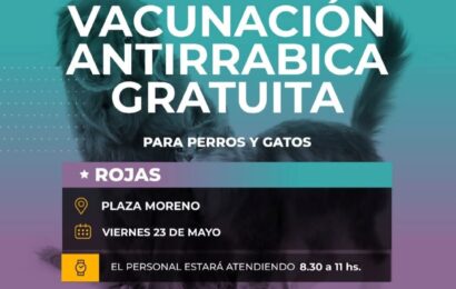 Este viernes, en Plaza Moreno estarán vacunando de forma gratuita a perros y gatos con la vacuna de la rabia