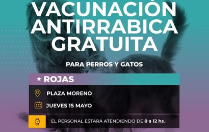 Estarán vacunando de forma gratuita a perros y gatos con la vacuna de la rabia