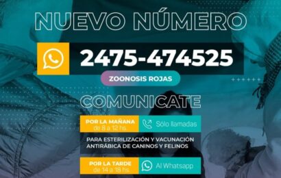 Nuevo número para turnos de castración en Zoonosis