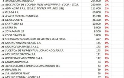 Gear SA fue beneficiada por Milei en 3 mil millones de pesos Gear SA fue beneficiada por Milei en 3 mil millones de pesos