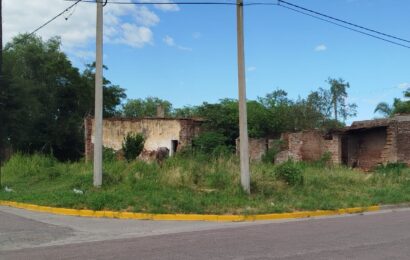 El Municipio intimó a frentistas por el corte de pasto El Municipio intimó a frentistas por el corte de pasto