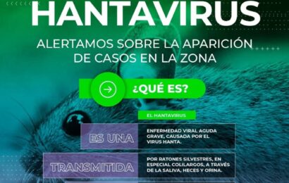 Hantavirus: aparición de casos en la zona Hantavirus: aparición de casos en la zona