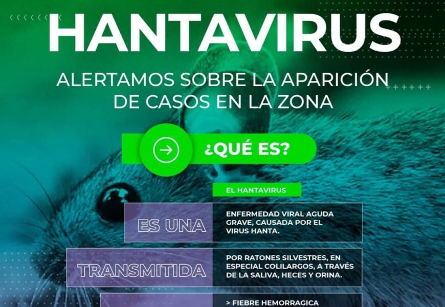 Hantavirus: aparición de casos en la zona Hantavirus: aparición de casos en la zona