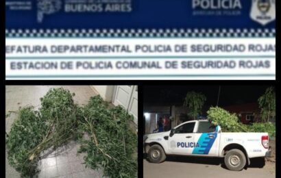 Según informe policial, hubo resultados positivos en sus intervenciones Según informe policial, hubo resultados positivos en sus intervenciones
