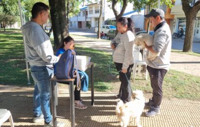 Bromatología lleva adelante campaña de vacunación antirrábica Bromatología lleva adelante campaña de vacunación antirrábica