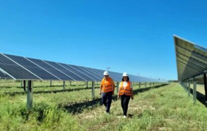 Reducirán tarifas con energía solar propia en trece localidades Reducirán tarifas con energía solar propia en trece localidades