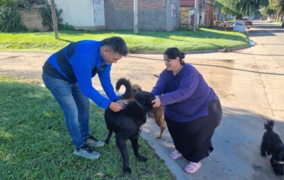 Bromatología sigue con la vacunación de mascotas Bromatología sigue con la vacunación de mascotas