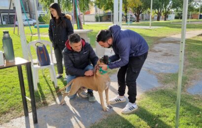 Vacunación antirrábica: Bromatología estuvo en barrio República Argentina Vacunación antirrábica: Bromatología estuvo en barrio República Argentina