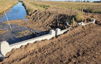 Caminos rurales de Rojas: se colocó un nuevo puente premoldeado en la zona conocida como el bajo de La Criolla Caminos rurales de Rojas: se colocó un nuevo puente premoldeado en la zona conocida como el bajo de La Criolla