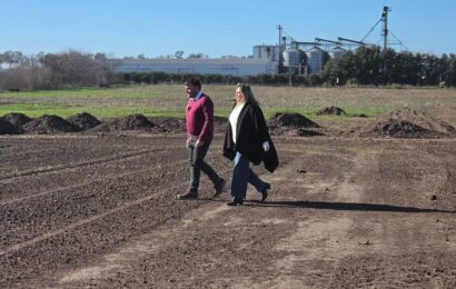 El Municipio continúa con la puesta a punto de lotes para viviendas El Municipio continúa con la puesta a punto de lotes para viviendas