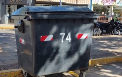 Se completa la distribución de contenedores en el centro